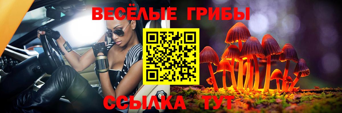 Псилоцибиновые грибы Psilocybine cubensis  Вход с VPN  Егорьевск  Галлюциногенные грибы GOLDEN TEACHER 